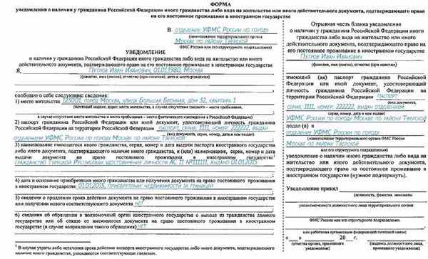 Разрешение на временное проживание и вид на жительство - важные документы в жизни иностранца в России, попытаемся их сравнить - найти общие черты и отличия